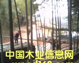 �b�\(y��n)��Ԕ��(x��)��B