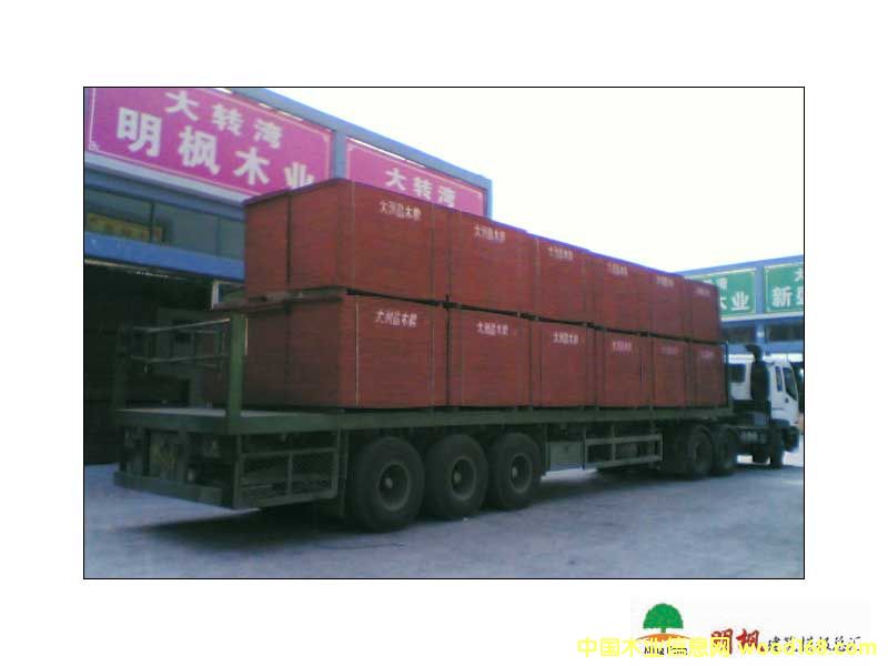 ����ģ�壨�t�壩��Ԕ����B