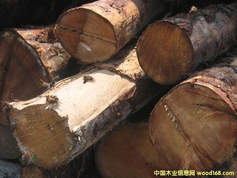 ������ɼԭľ��Ԕ����B