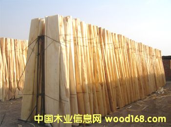 ��ľ�ΰ��Ԕ����B