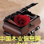 �ߙnľ����е�Ԕ��(x��)��B