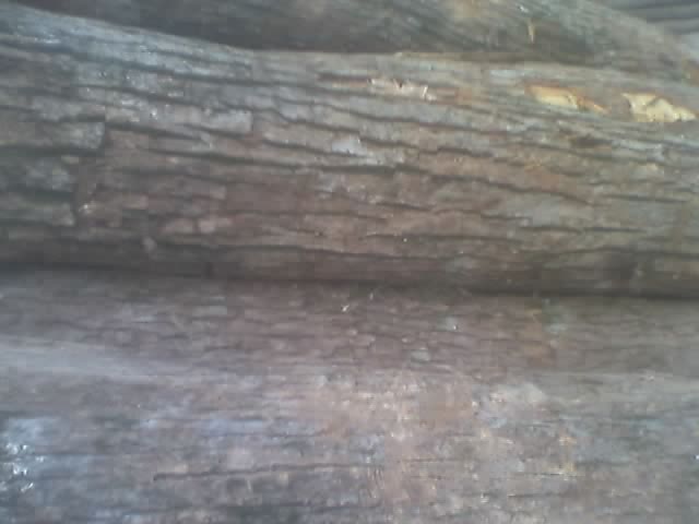 ��ľA����Ԕ��(x��)��B