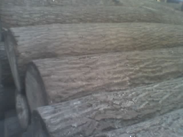 �ľA����Ԕ��(x��)��B