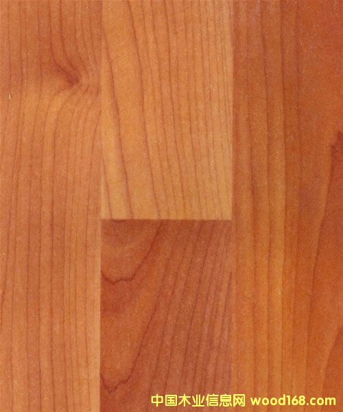 �c���鿴ɭ�v�ͺϵذ�Ŵ�DƬ