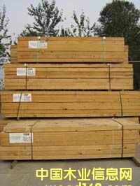 ���ô��M(j��n)���Fɼ��Ԕ��(x��)��B