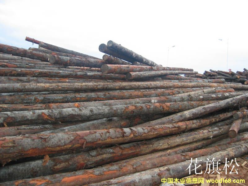 ������ԭľ��Ԕ����B