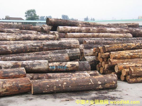 �Fɼԭľ��Ԕ����B