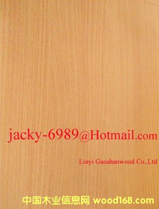 �t���N����Ԕ����B