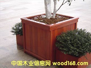 ����ľľ��Ʒ����Ԕ��(x��)��B