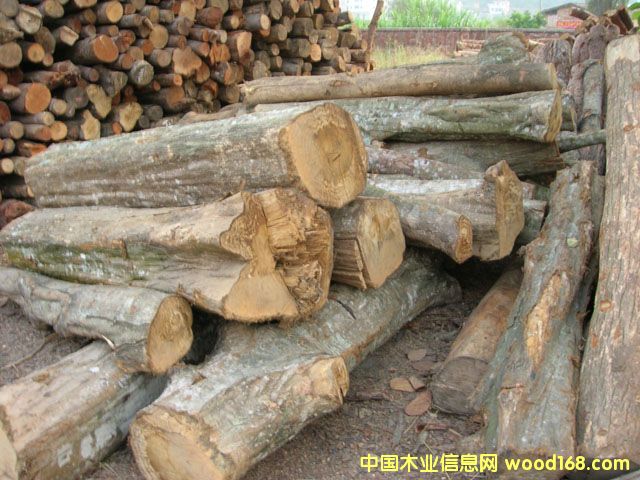 ԭľ:�����Ԕ����B