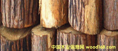 ɼľ��Ԕ����B