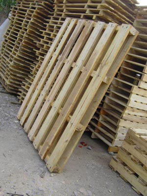 ľ�бP  ľ���Ԕ����B