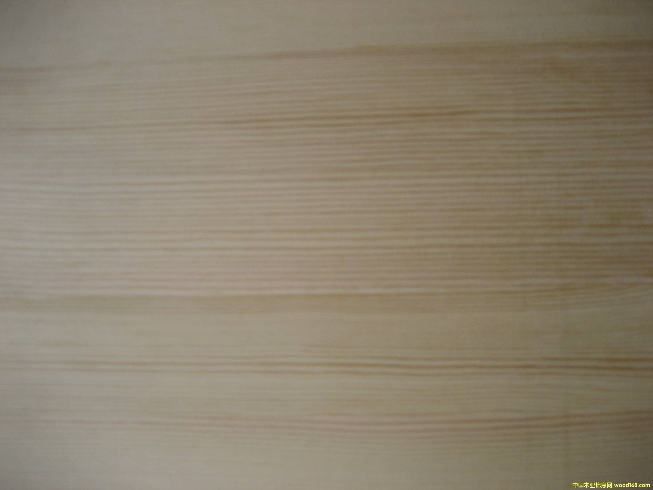 �o��(ji��)ɼľ���ɲĵ�Ԕ��(x��)��B