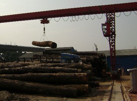 ���T����Ԕ��(x��)��B