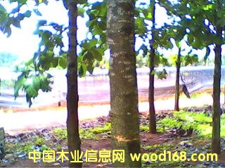 �c(di��n)���鿴�A�乫˾��ľ�֣�3�����g���Ŵ�DƬ