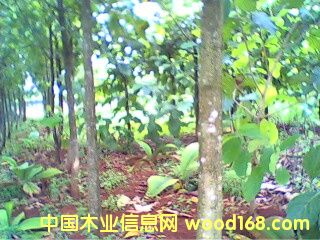 �c(di��n)���鿴�A����ľ�֣�2����g���Ŵ�DƬ