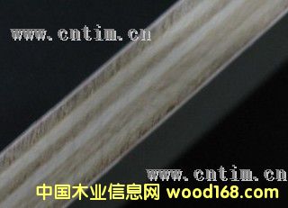 ȫ��ľlVB��(c��)�������z�ϰ�