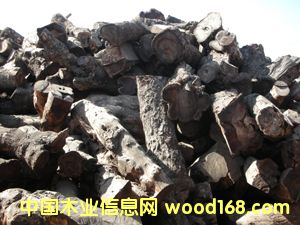 �u��ľ��Ԕ��(x��)��B