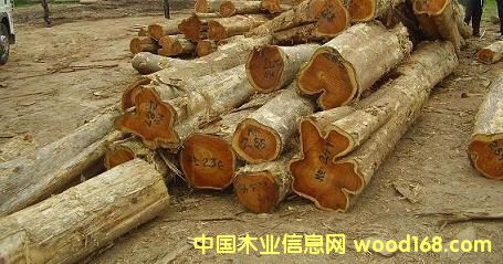 �c(di��n)���鿴��ľԭľ��teak���Ҿ߲ķŴ�DƬ