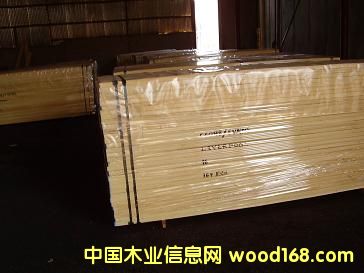 �c(di��n)���鿴���ް�ľ�Ŵ�DƬ