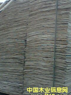 ͩľ�ΰ��Ԕ����B