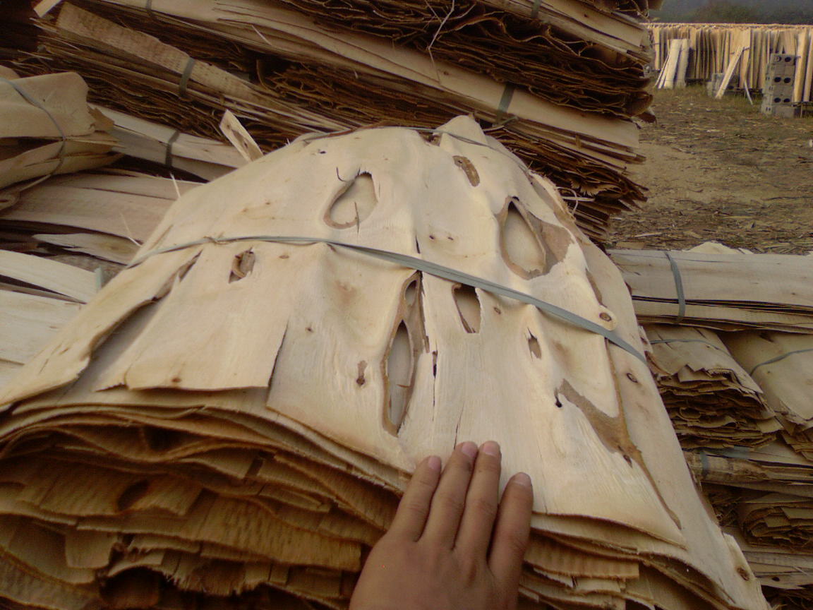 ����,����(j��)���Ԕ��(x��)��B