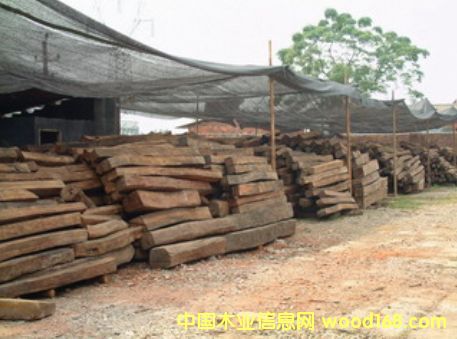 ��֦ľ��Ԕ����B