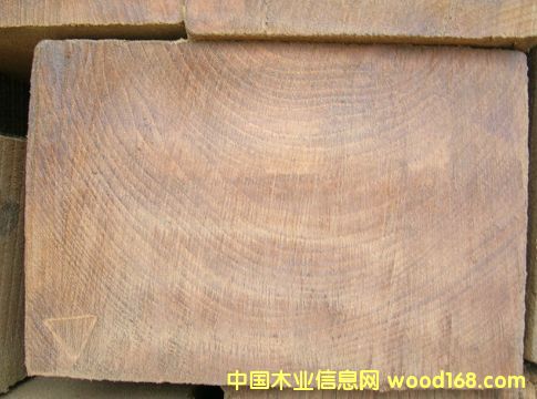 ������ľ��Ԕ����B