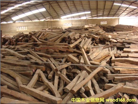 �c���鿴��֦ľ�Ŵ�DƬ