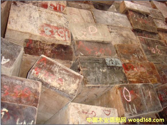 �c���鿴��ľ�Ŵ�DƬ