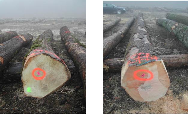 �c(di��n)���鿴��ͩԭľ�Ŵ�DƬ