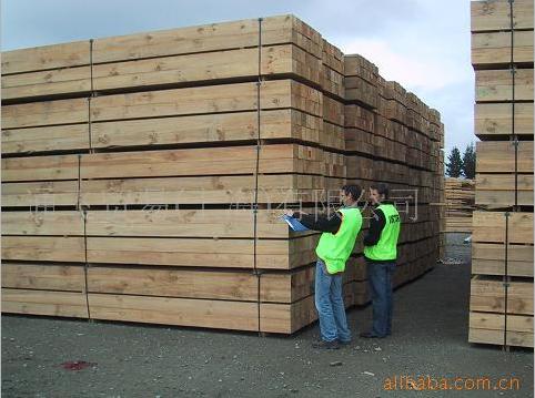 �c(di��n)���鿴�����mݗ���ɰ�ķŴ�DƬ