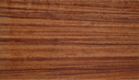 ����܊������Ԕ��(x��)��B