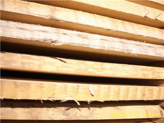 �c(di��n)���鿴��ľ�Ŵ�DƬ