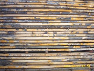 �c(di��n)���鿴��ľ�Ŵ�DƬ