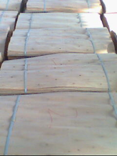 ��ľ�ΰ��Ԕ��(x��)��B