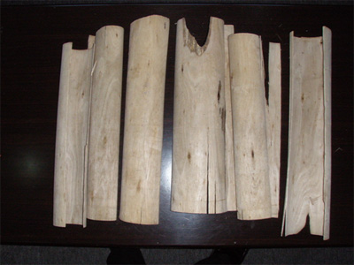 �c���鿴��ľ������Ŵ�DƬ