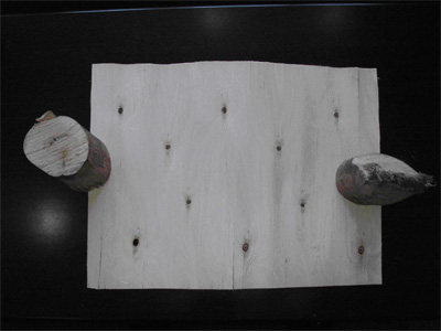 �c���鿴��ľһ����Ŵ�DƬ