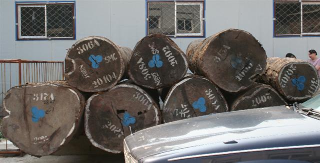 �c(di��n)���鿴������̴�Ŵ�DƬ