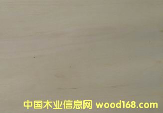 ������а�Ƥ��Ԕ����B