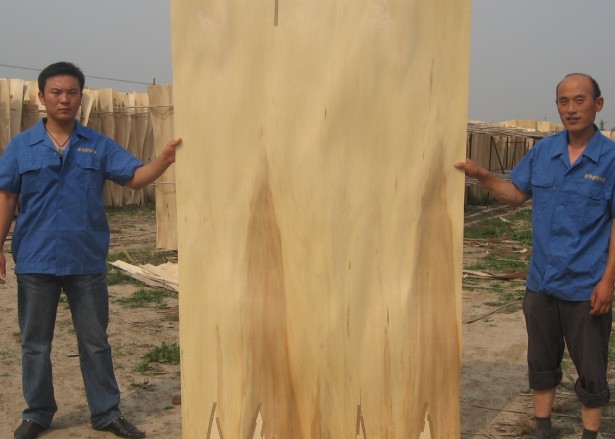 �c���鿴��ľ�Ŵ�DƬ