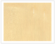 ���ľ��Ԕ����B