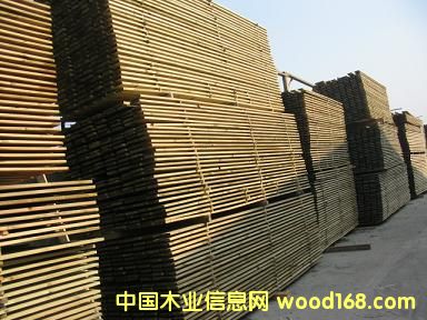 ����ľ��Ԕ��(x��)��B