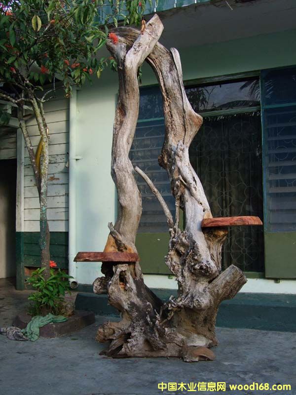 ����1��Ԕ����B