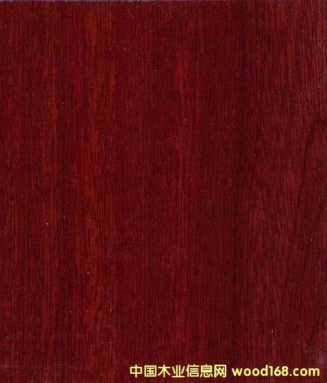 8228��(qi��ng)����(f��)�ϵذ�