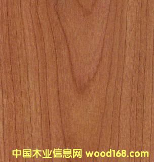 8330��(qi��ng)����(f��)�ϵذ�