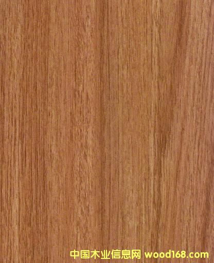 8017��(qi��ng)����(f��)�ϵذ�