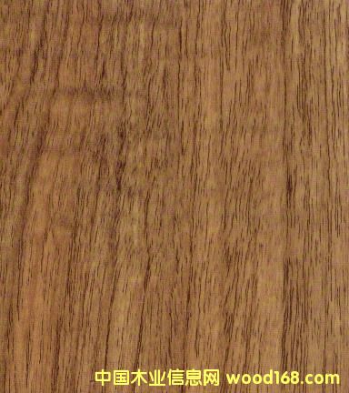 8216��(qi��ng)����(f��)�ϵذ�