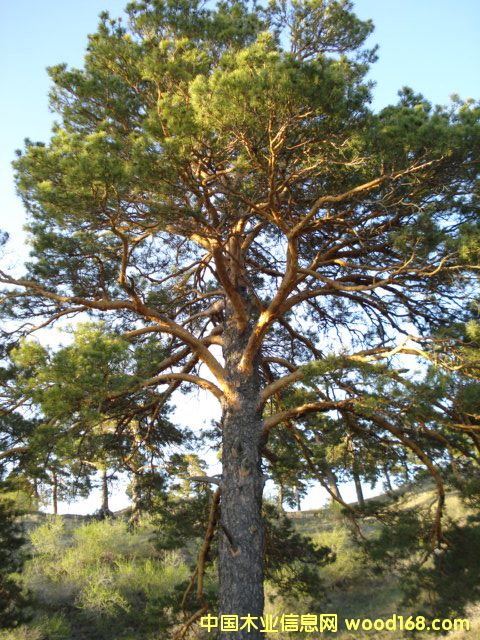 �sľ����ľ����������ľ����ľ��Ԕ��(x��)��B