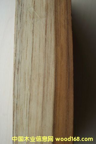 ����������ľ��Ԕ��(x��)��B